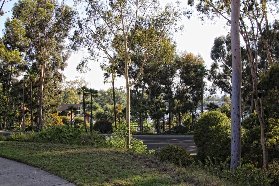 Work Image