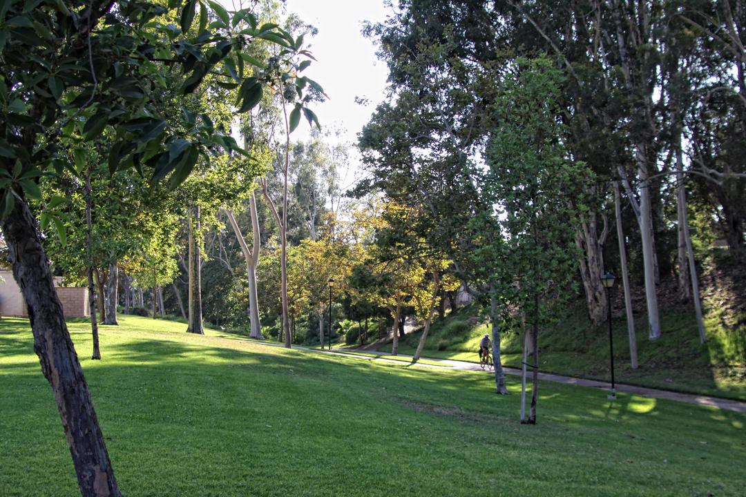 Work Image